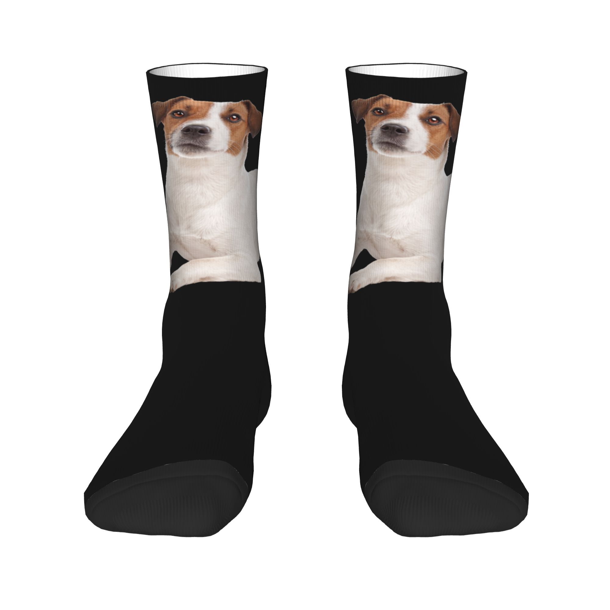 Custom Jack Russell Terrier Do - Dress Sock Men avaliação e preço