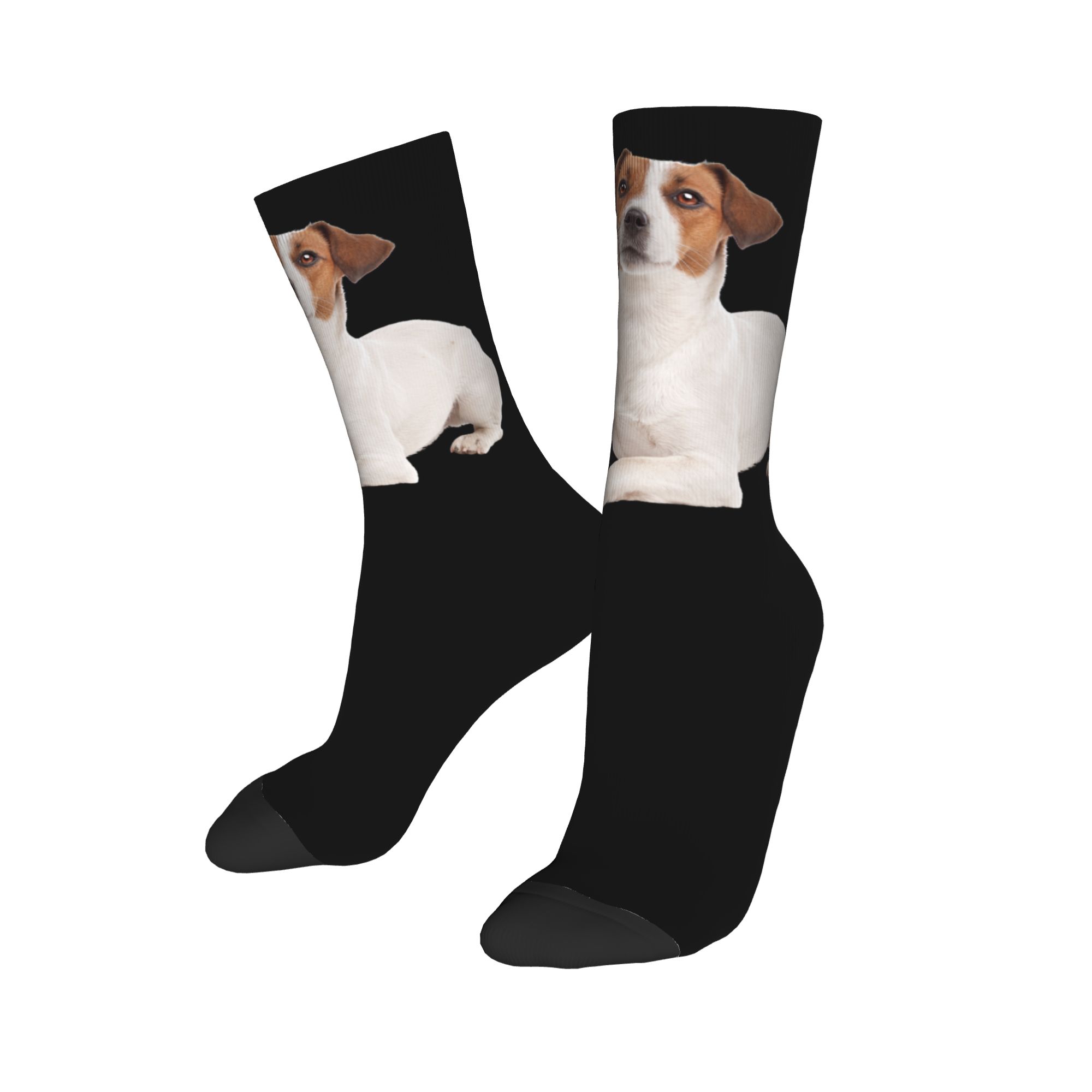 Custom Jack Russell Terrier Do - Dress Sock Men avaliação e preço